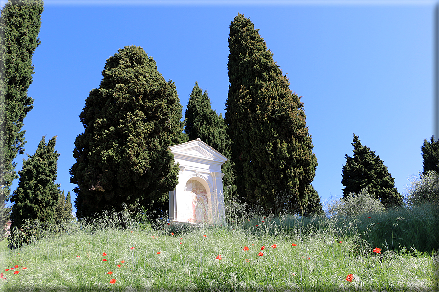 foto Colli degli Ezzelini